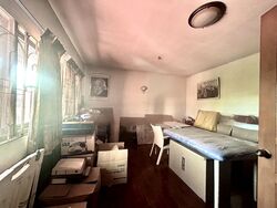 Mimosa Park (D28), Condominium #482543691